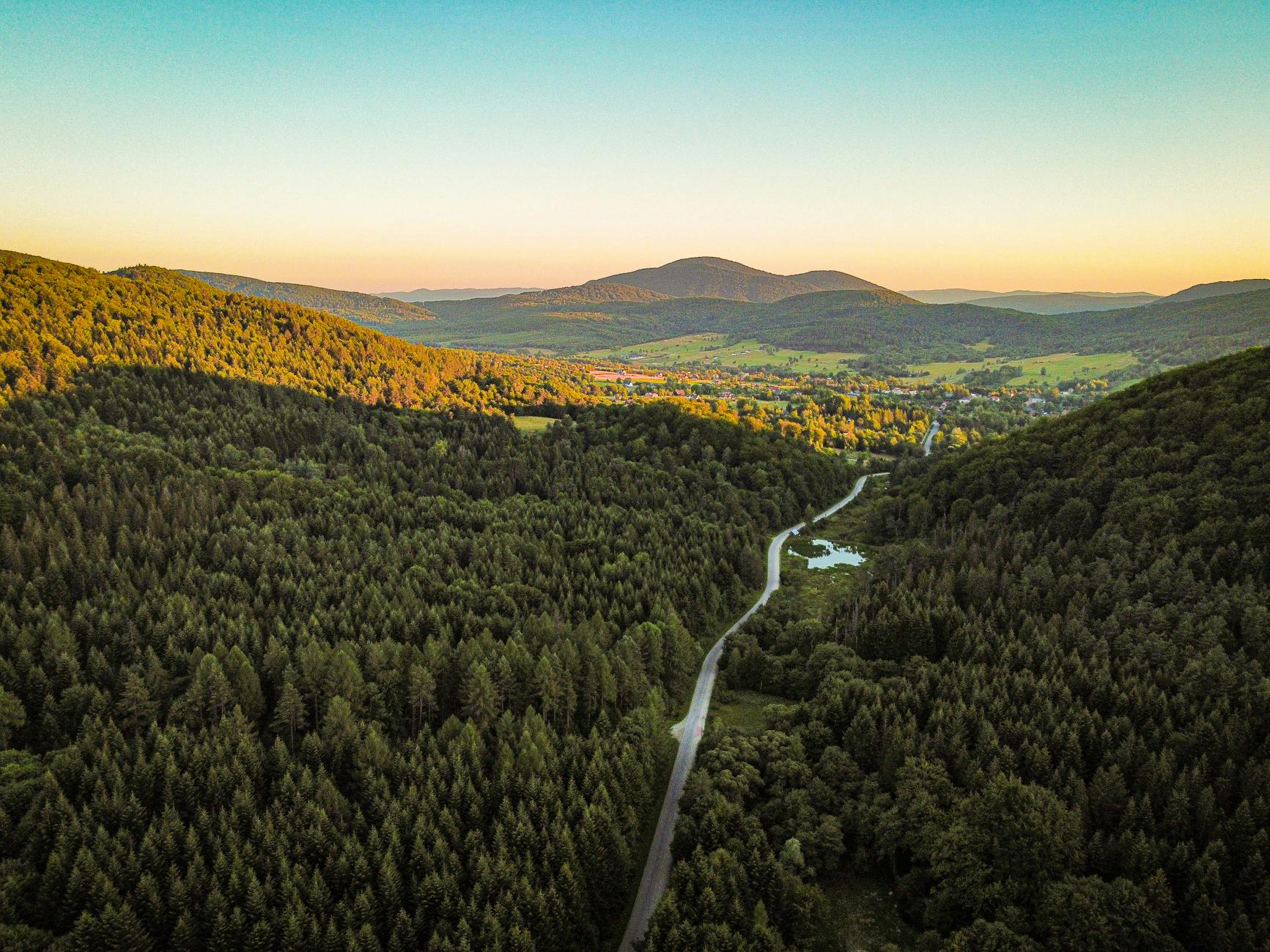 Plakat informacyjny o I Festiwalu Wiosenne Świergoty w Jastrzębiu-Zdroju